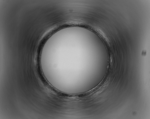X0000101390396200807071010