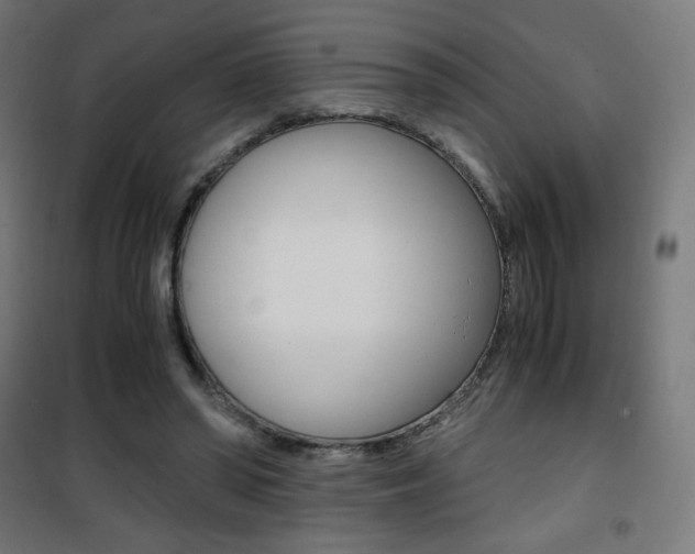 X0000101390398200807071010