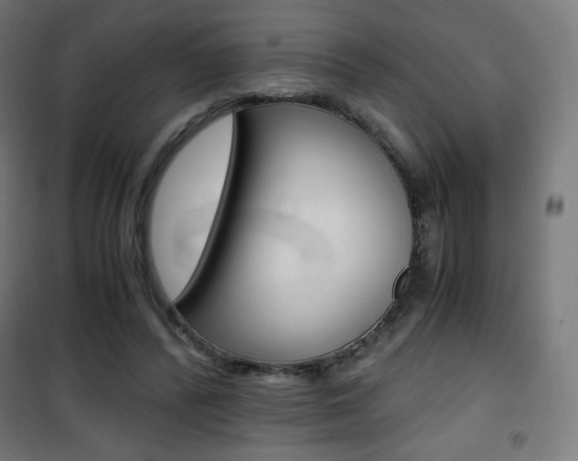 X0000101390400200807071010