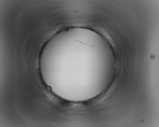 X0000101390401200807071009