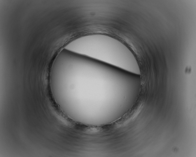 X0000101390402200807071009