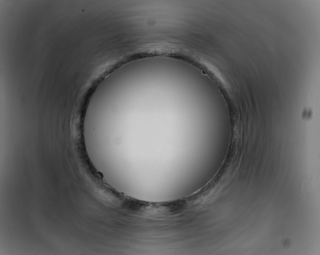 X0000101390403200807071009