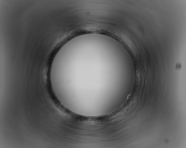 X0000101390404200807071009