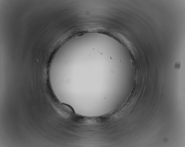 X0000101390405200807071009