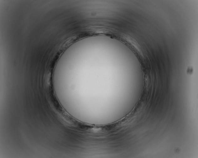 X0000101390406200807071009