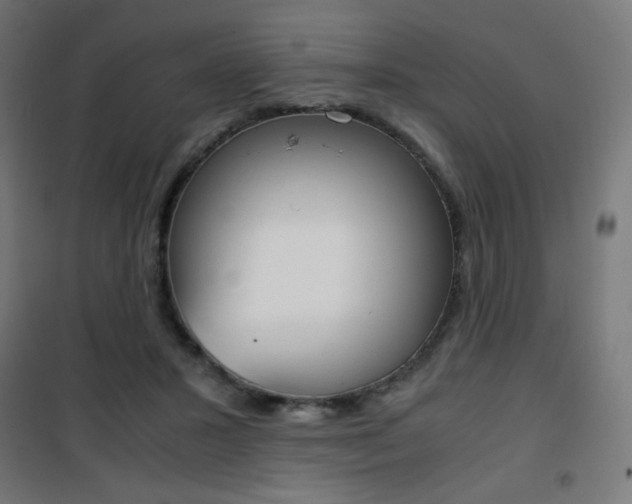 X0000101390407200807071009