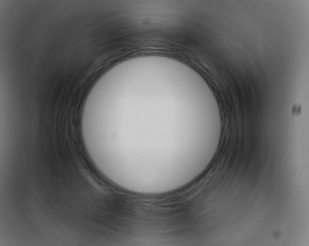 X0000101390408200807071009