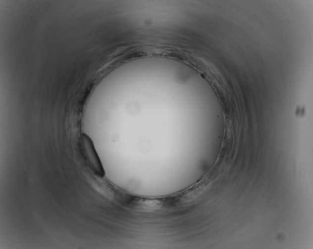 X0000101390409200807071009