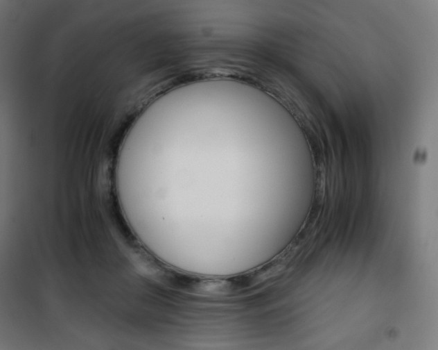 X0000101390410200807071009