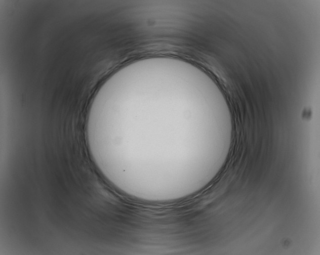 X0000101390411200807071009