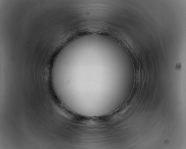 X0000101390412200807071009