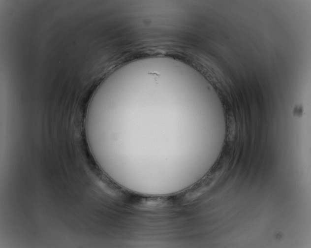 X0000101390414200807071009