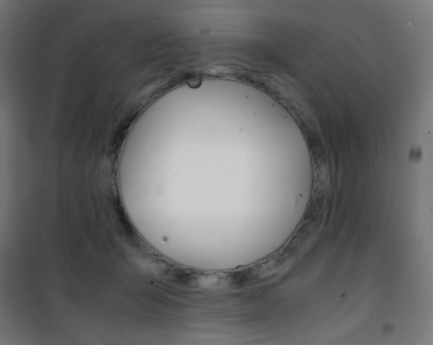 X0000101390415200807071009