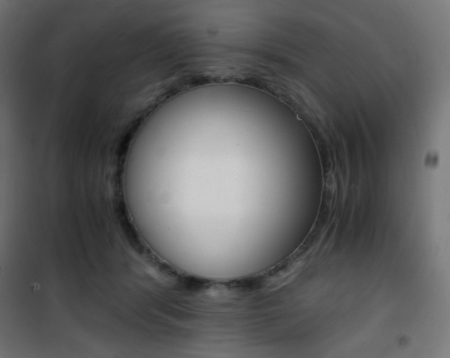 X0000101390416200807071009