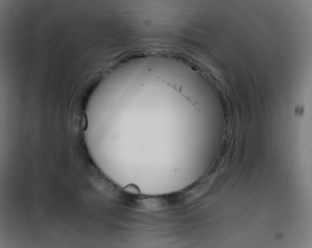 X0000101390417200807071009