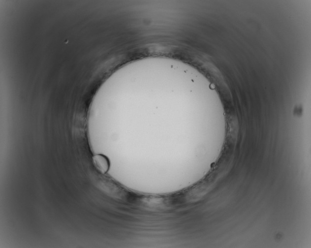 X0000101390419200807071009