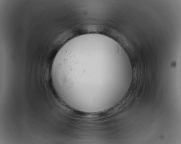 X0000101390422200807071009