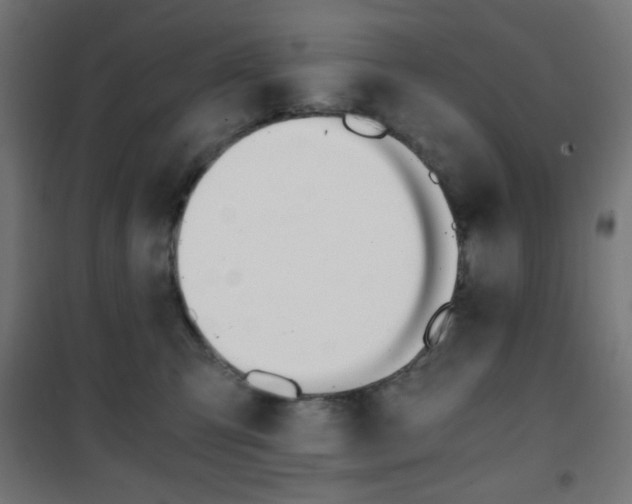 X0000101390423200807071009