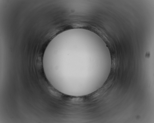 X0000101390426200807071009