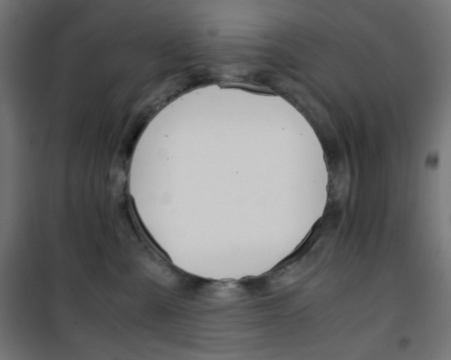 X0000101390427200807071009