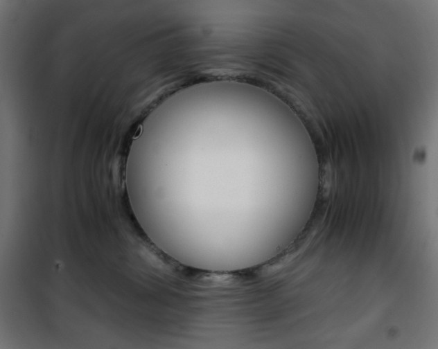 X0000101390428200807071009