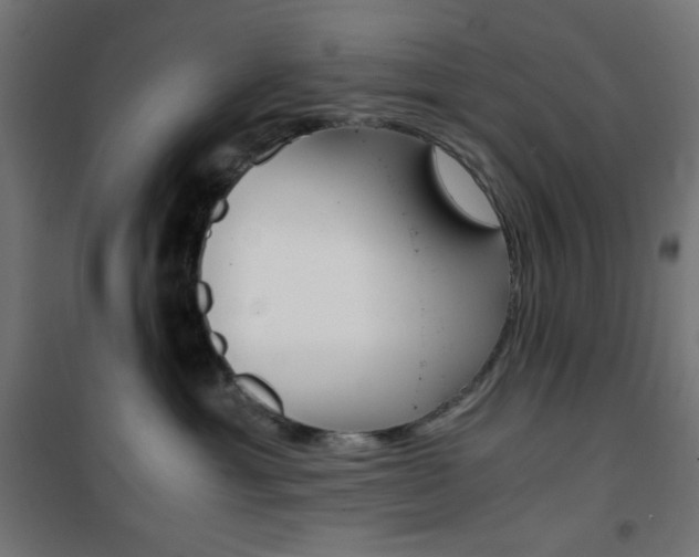 X0000101390429200807071009