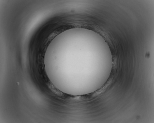 X0000101390430200807071009