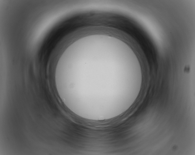 X0000101390431200807071009