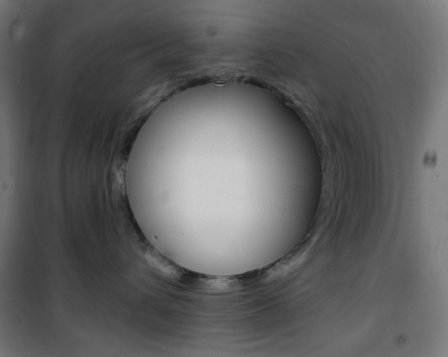 X0000101390432200807071009