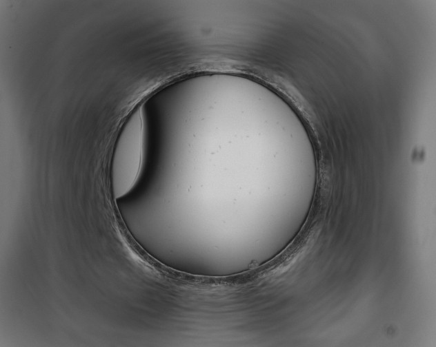 X0000101390433200807071008