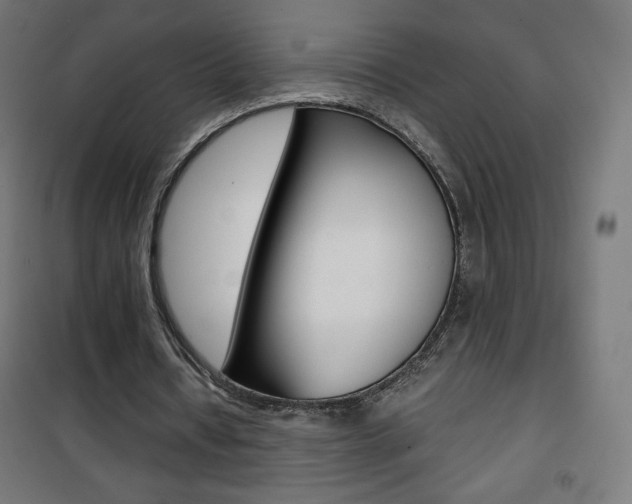 X0000101390434200807071008