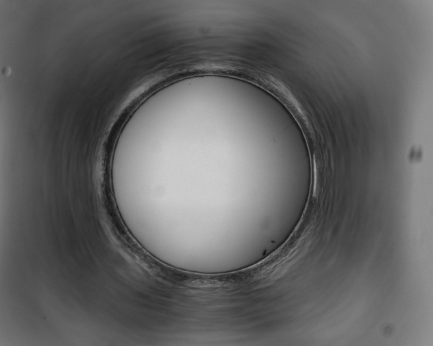 X0000101390435200807071008