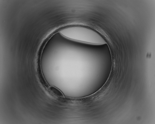 X0000101390436200807071008