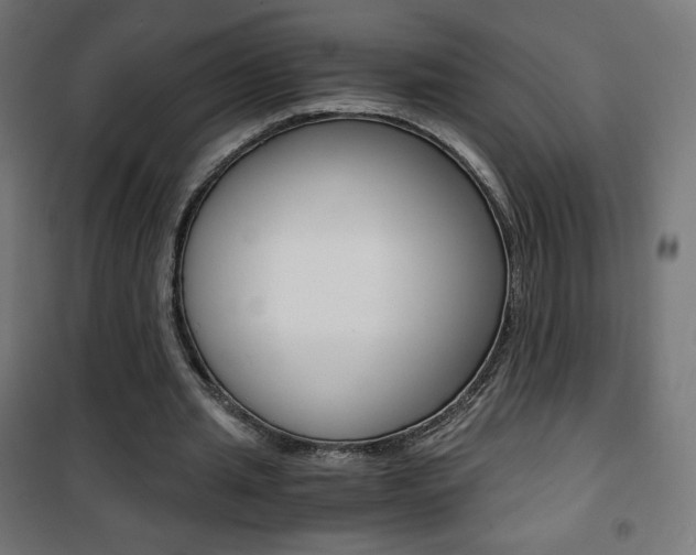 X0000101390437200807071008