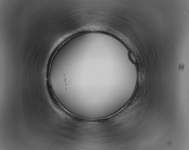 X0000101390438200807071008