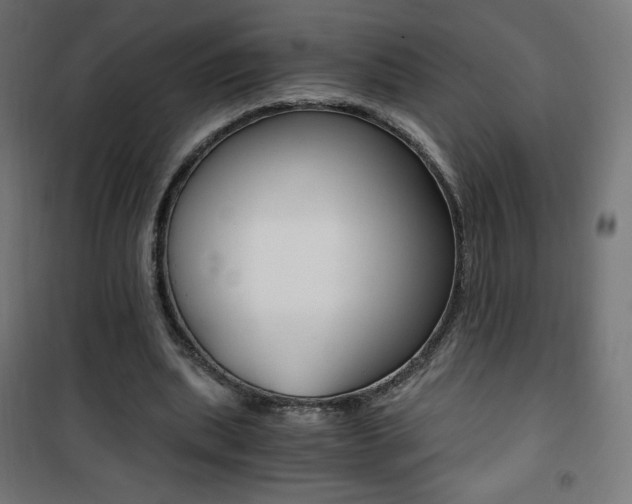 X0000101390439200807071008