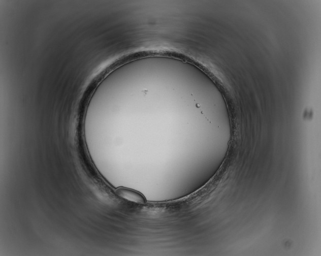 X0000101390440200807071008