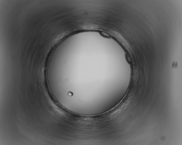 X0000101390441200807071008