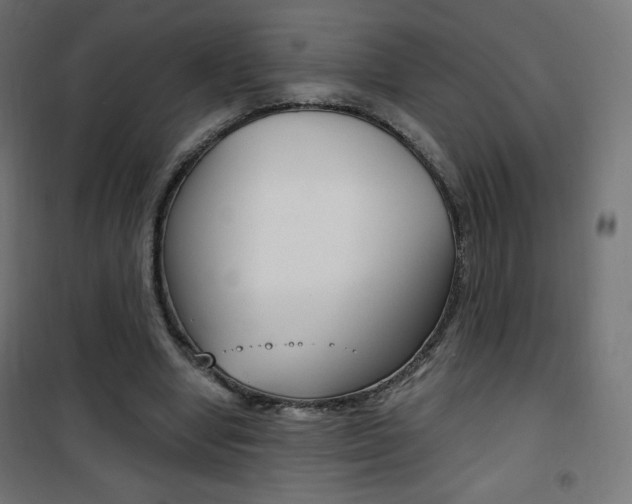 X0000101390442200807071008