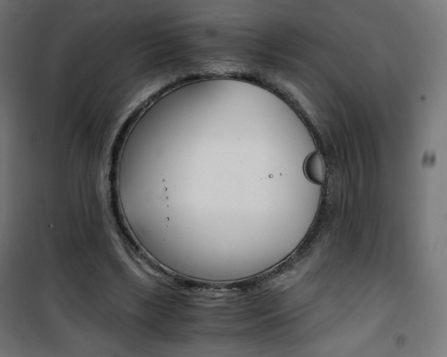 X0000101390443200807071008