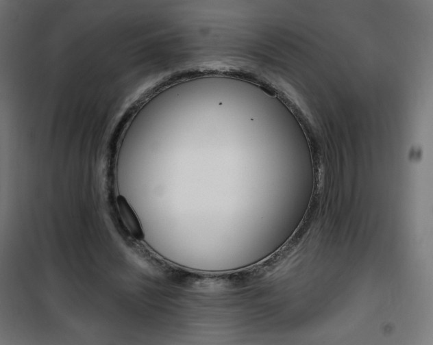 X0000101390444200807071008