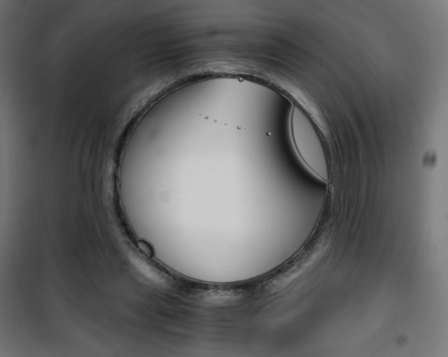 X0000101390445200807071008