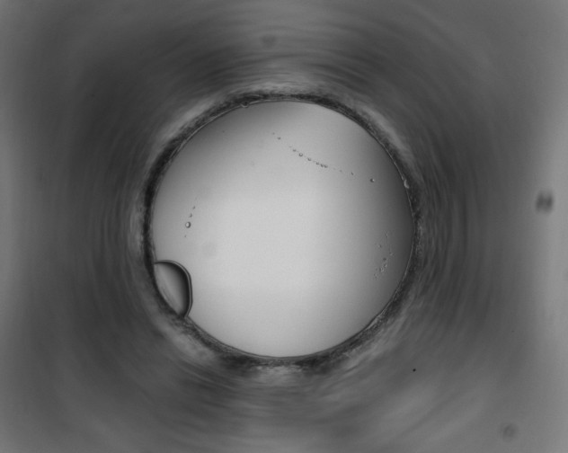 X0000101390446200807071009