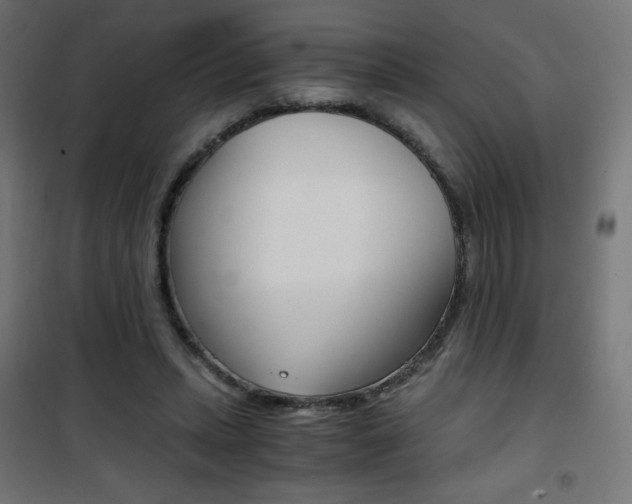 X0000101390447200807071009