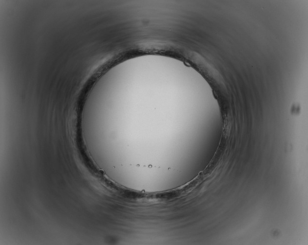 X0000101390448200807071009