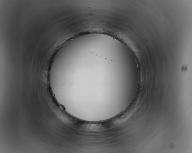 X0000101390449200807071009