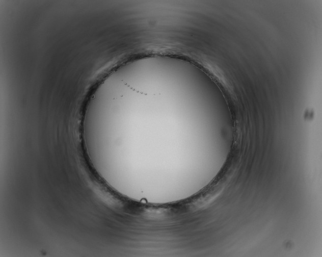 X0000101390450200807071009