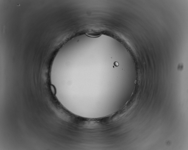 X0000101390451200807071009