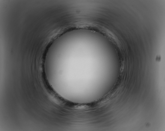 X0000101390452200807071009