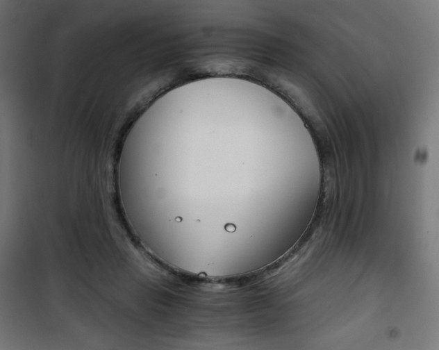 X0000101390453200807071009